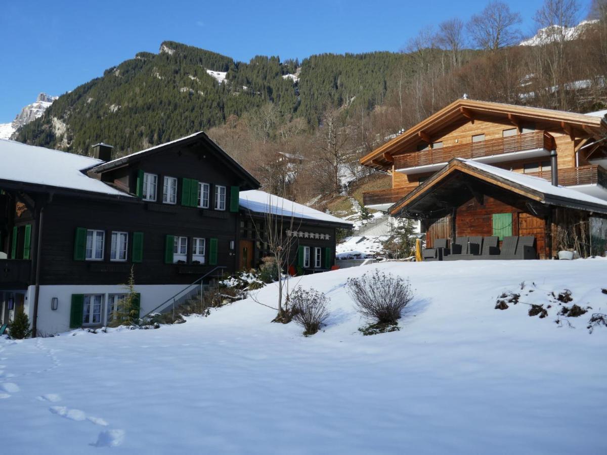 Apartment Chalet Schwendihus-10 By Interhome Grindelwald Ngoại thất bức ảnh